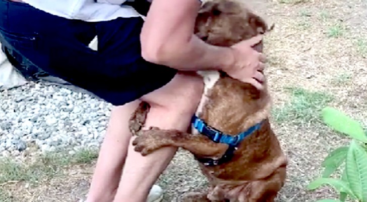 Questo cane abbraccia sempre il suo padrone: ecco il motivo dietro all'affettuoso gesto