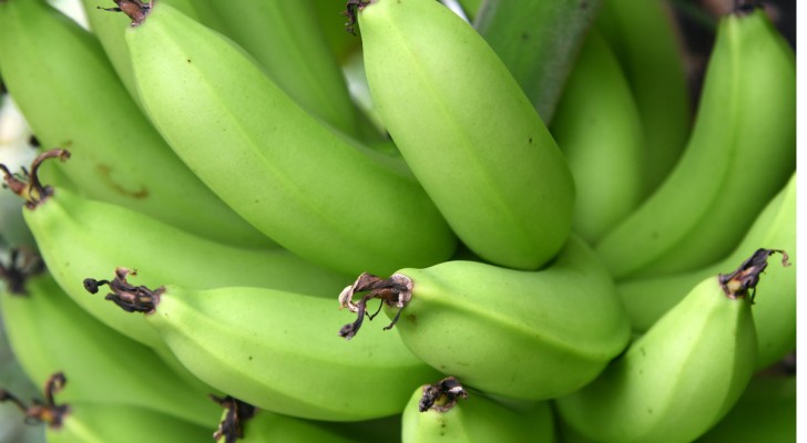 Zijn groene bananen wel of niet slecht voor je gezondheid? Lees hier hoe het echt zit