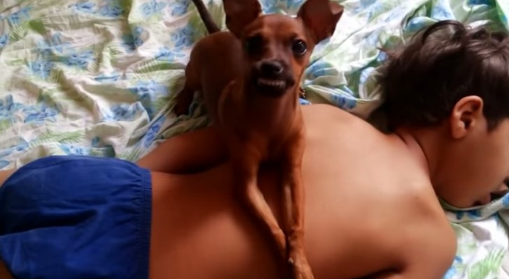 A young man sleeps with his dog: look what happens if someone tries to wake him up !