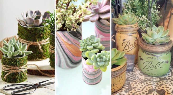 12 progetti di vasi di piante creativi dal riciclo di barattoli di latta e vetro