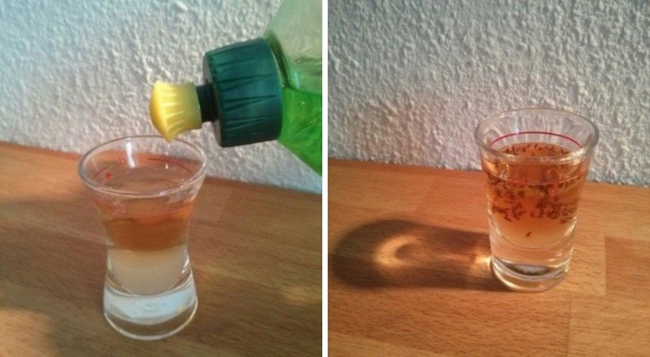 Contro mosche e moscerini ti basta un bicchiere per creare una trappola infallibile