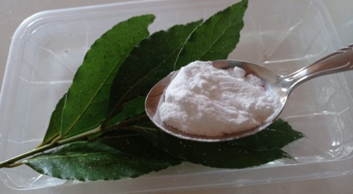 bicarbonato che viene sparso su foglie di alloro in una ciotola di plastica