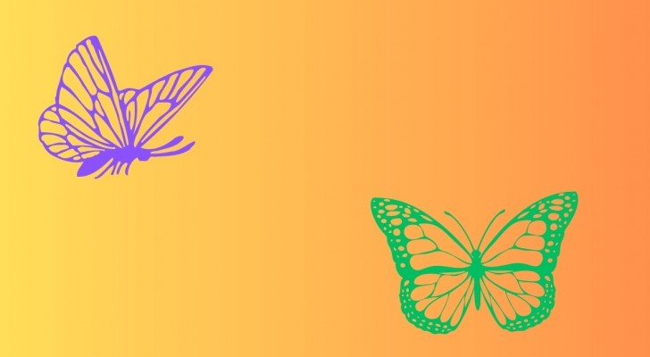 Test della personalità: scegli una farfalla e scoprirai lati del tuo carattere che non conoscevi