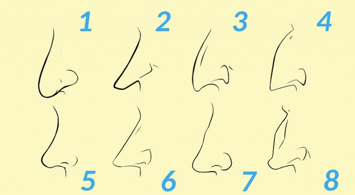 Welke vorm heeft jouw neus? Je keuze zegt iets interessants over jouw persoonlijkheid