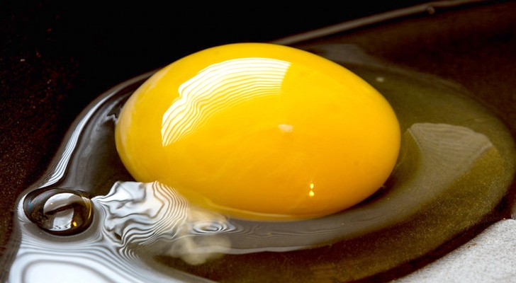 Hur vet man när äggen är färska? Du kan se det med äggulametoden
