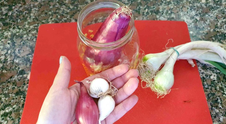 Conservare le cipolle per farle durare a lungo: il trucco che prevede l'uso di un barattolo