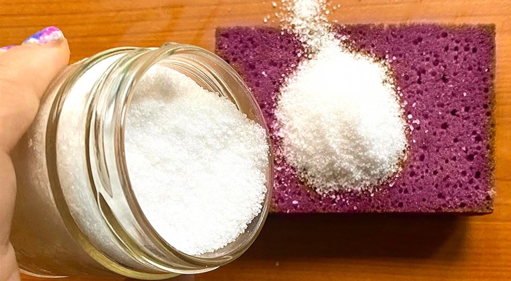 Gammal husmorskur: prova med salt på disksvampen, du kommer aldrig återvända till det tidigare sättet