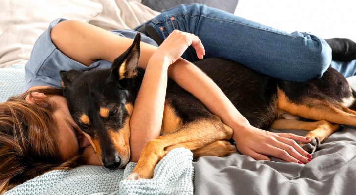 Att låta hunden sova i sängen påverkar kvaliteten på vår sömn