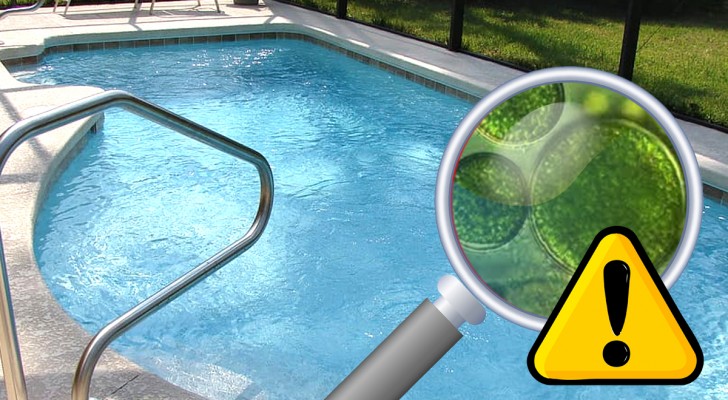 Cosa succede se lasci la piscina scoperta durante un'assenza da casa? Cambierai subito idea