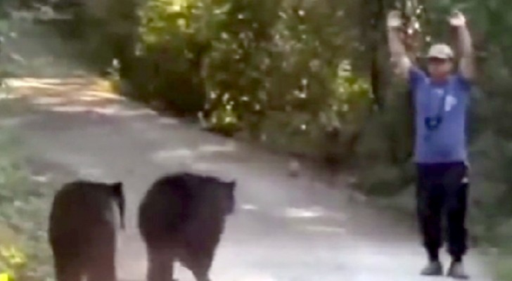 Uomo incontra due orsi su un sentiero di montagna: ecco cos'ha fatto per evitare un attacco