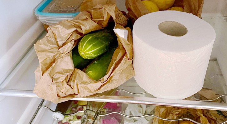 Perché dovresti tenere un rotolo di carta igienica nel frigo