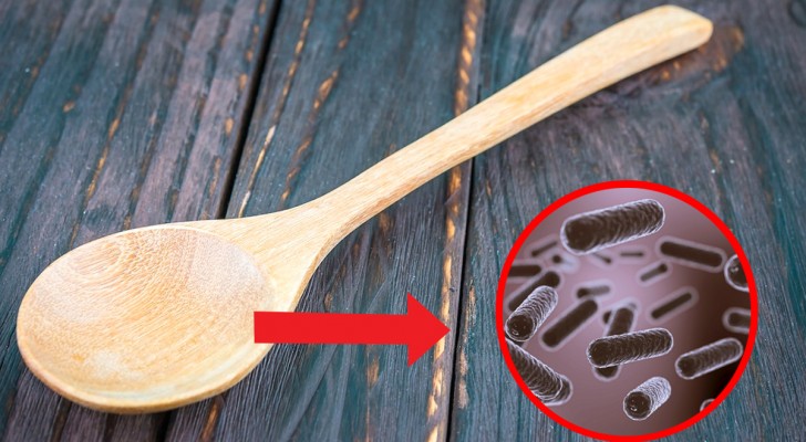 Nei mestoli di legno possono annidarsi germi e batteri: ecco come pulirli correttamente
