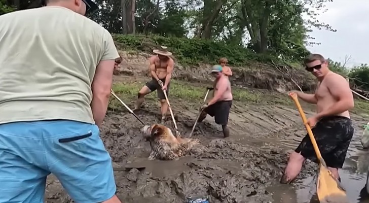 Degli amici interrompono l'addio al celibato per salvare un cane intrappolato nel fango