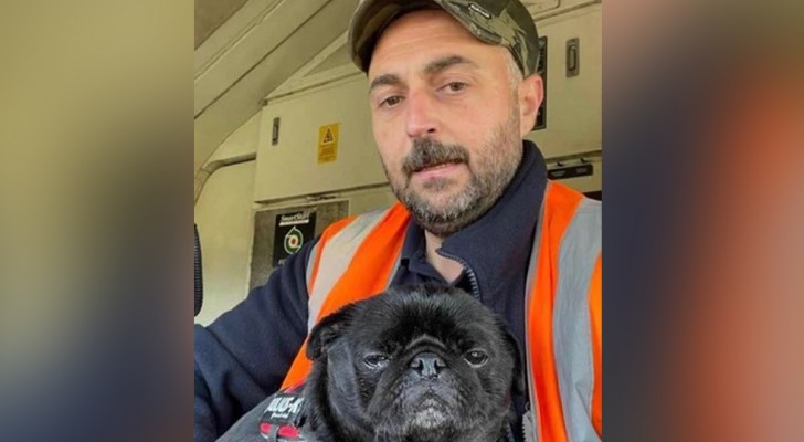cane carlino con padrone