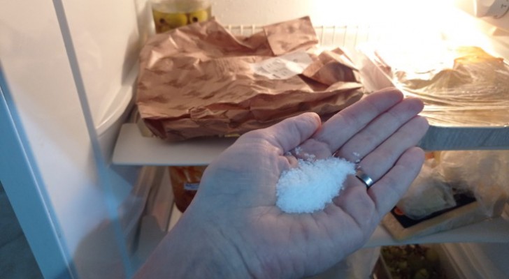 We leggen de aanzienlijke voordelen van zout in de koelkast uit