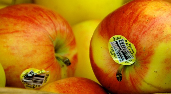 Adesivi rotondi su frutta e verdura al supermercato: ecco a cosa servono e come si leggono