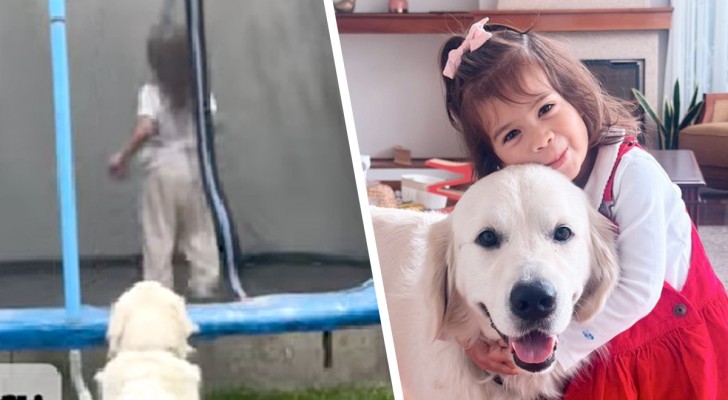 Questo cane adora fare da babysitter: i video dimostrano che è nato per fare questo (+VIDEO)