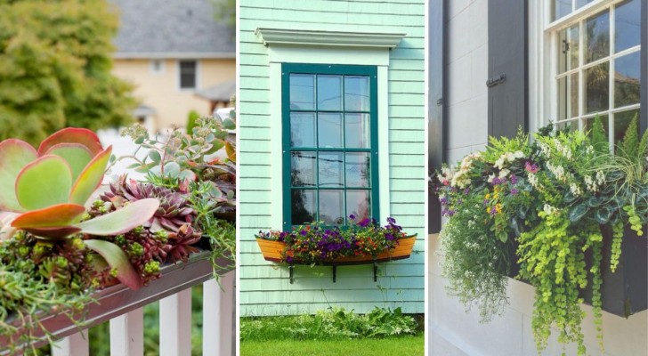 Regalate un po' di stile alla vostra casa con queste 12 proposte di fioriere da finestre