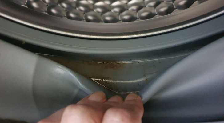 Schimmel in de wasmachine: met drie goedkope producten zie je het nooit meer terug