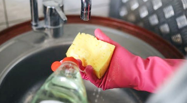 Why is it best not to use a sponge to clean up after certain foods? We give the reasons here
