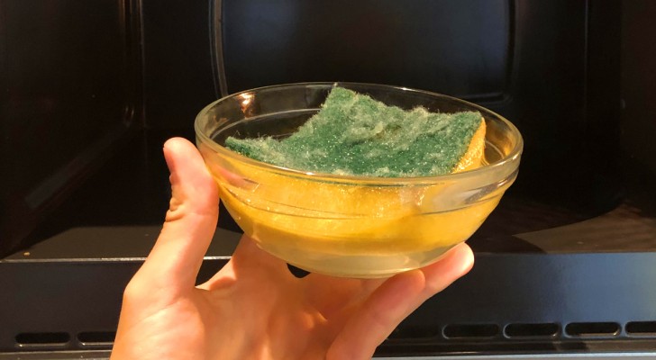 Come igienizzare le spugne della cucina e eliminare i germi: prova questo metodo
