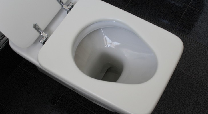 Varför bör man alltid fälla ner toalettlocket, både hemma och borta