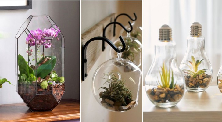 Une maison verte : 14 terrariums DIY pour décorer facilement avec les plantes 