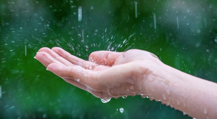 Is het veilig om regenwater te drinken? Het antwoord op de vraag die we onszelf allemaal stellen