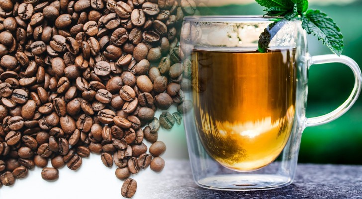 Koffein und Teein sind das gleiche Molekül: warum haben sie dann eine unterschiedliche Wirkung?