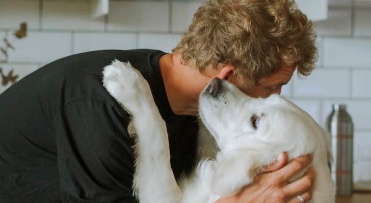 Detta är varför det inte är fel att prata med sin hund på samma sätt som med ett barn: vetenskapen förklarar