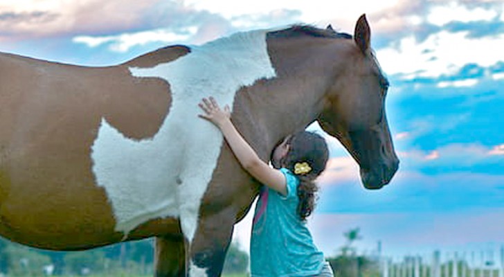 I cavalli sono in grado di comprendere le emozioni umane? Rispondono gli esperti