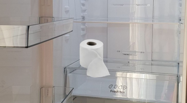 Un rouleau de papier toilette au frigo ? Cela pourrait vous aider à lutter contre un phénomène commun