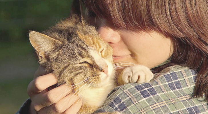 I gatti sono in grado di riconoscere le emozioni umane e di provare empatia verso i padroni?