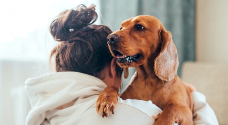 I cani possono realmente annusare la nostra paura? Lo spiegano gli esperti