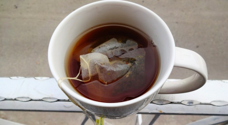 Infusionstid för te: vad händer om vi lämnar tepåsen för länge?