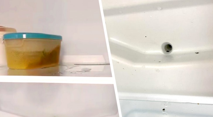 Is water pooling in your refrigerator? Here are the possible causes and how to deal with them