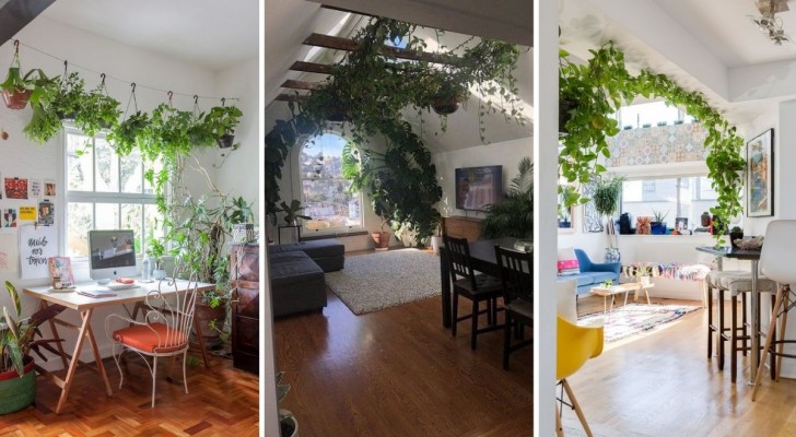 Un plafond végétal ? L'idée décorative parfaite pour votre maison : 18 projets intéressants 