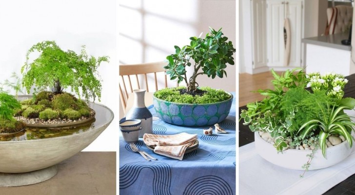 Centres de tables " vivant " : les idées pour décorer votre table avec de véritables plantes 