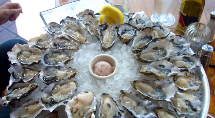 Ze wordt door een man uitgenodigd voor een etentje: tijdens hun eerste date verslindt ze voor zijn ogen 48 oesters