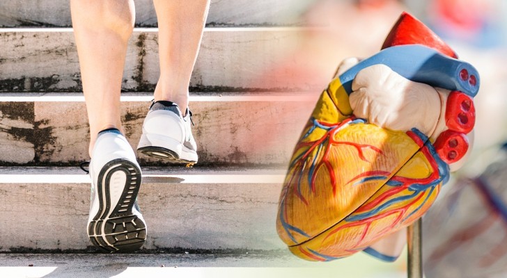 En studie tvivlar att de berömda 10 000 stegen per dag är nödvändiga för ett hälsosamt hjärta