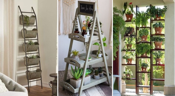 Realizzate delle meravigliose fioriere da interno moderne con le scale! 14 spunti creativi