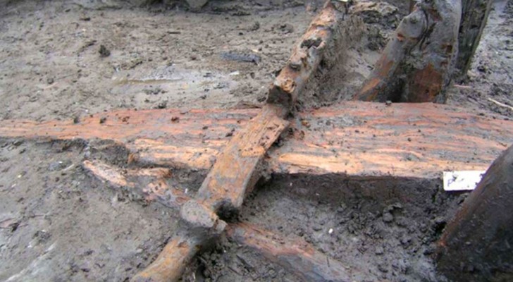 Een zeldzaam, 3300 jaar oud houten juk gevonden in Noord-Italië is aan het publiek onthuld