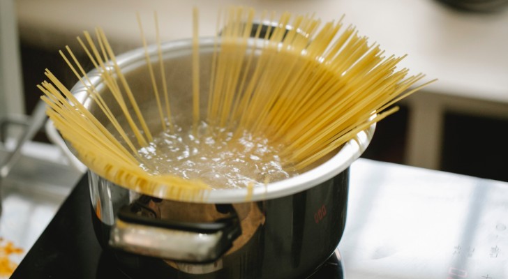 Visste du att kokvattnet för pasta och grönsaker kan vara användbart för dina växter? Upptäck på vilket sätt