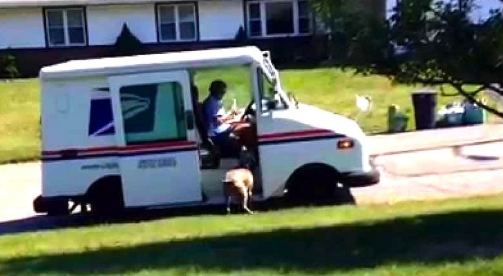 The postman arrives and he starts filming: what the dog does is adorable