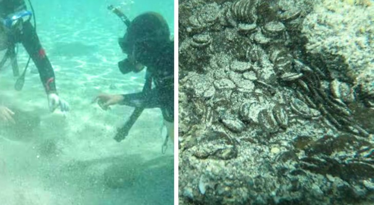 Scoperto tesoro sommerso di 30 mila monete romane in Sardegna: è il più grande d'Europa
