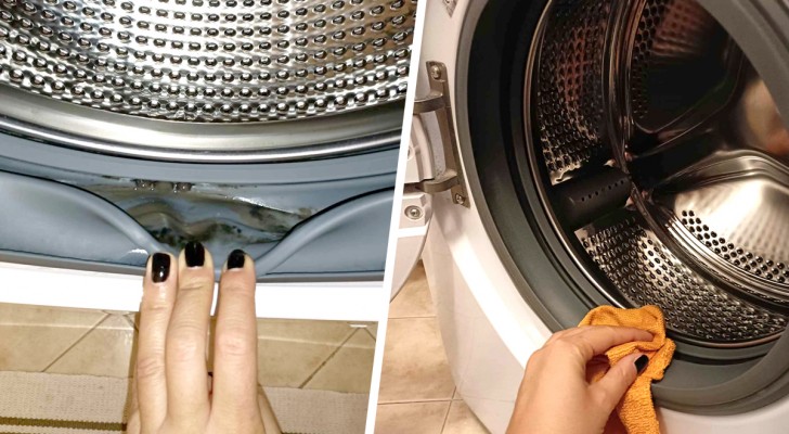 Guarnizione della lavatrice piena di muffa: scopriamo i metodi fai da te per rimuoverla