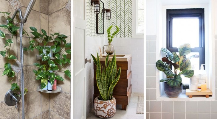 Dekorera badrummet med växter: 12 idéer för att hitta den perfekta positionen för varje kruka