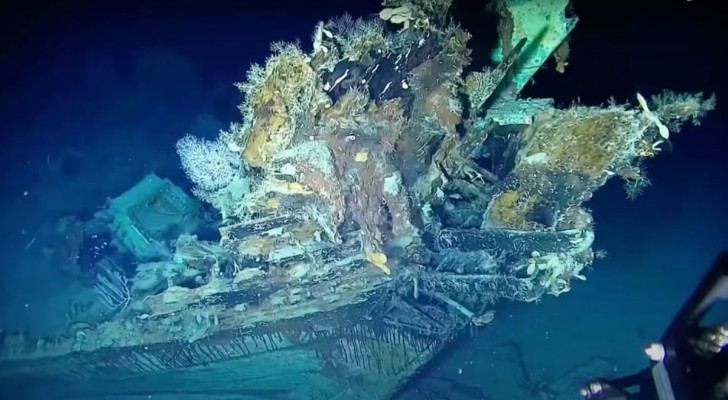 Ein 20-Milliarden-Dollar-Schatz wird in einem Schiffswrack auf dem Meeresgrund vermutet: es ist der größte Schatz der Geschichte