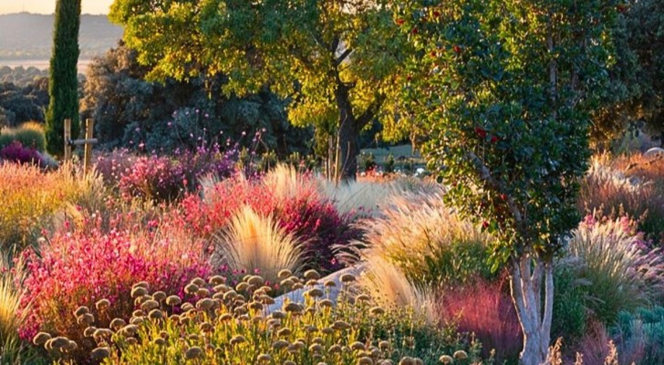 Trädgårdstrender 2024: den idealiska trädgården är en explosion av naturlig skönhet