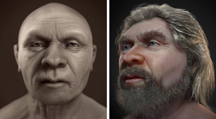 Het gezicht van een oudere Neanderthaler, die meer dan 50.000 jaar geleden leefde, is gereconstrueerd